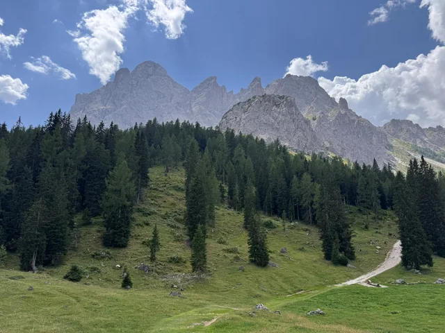 Bergmassiv mit Wald und einem Wanderweg